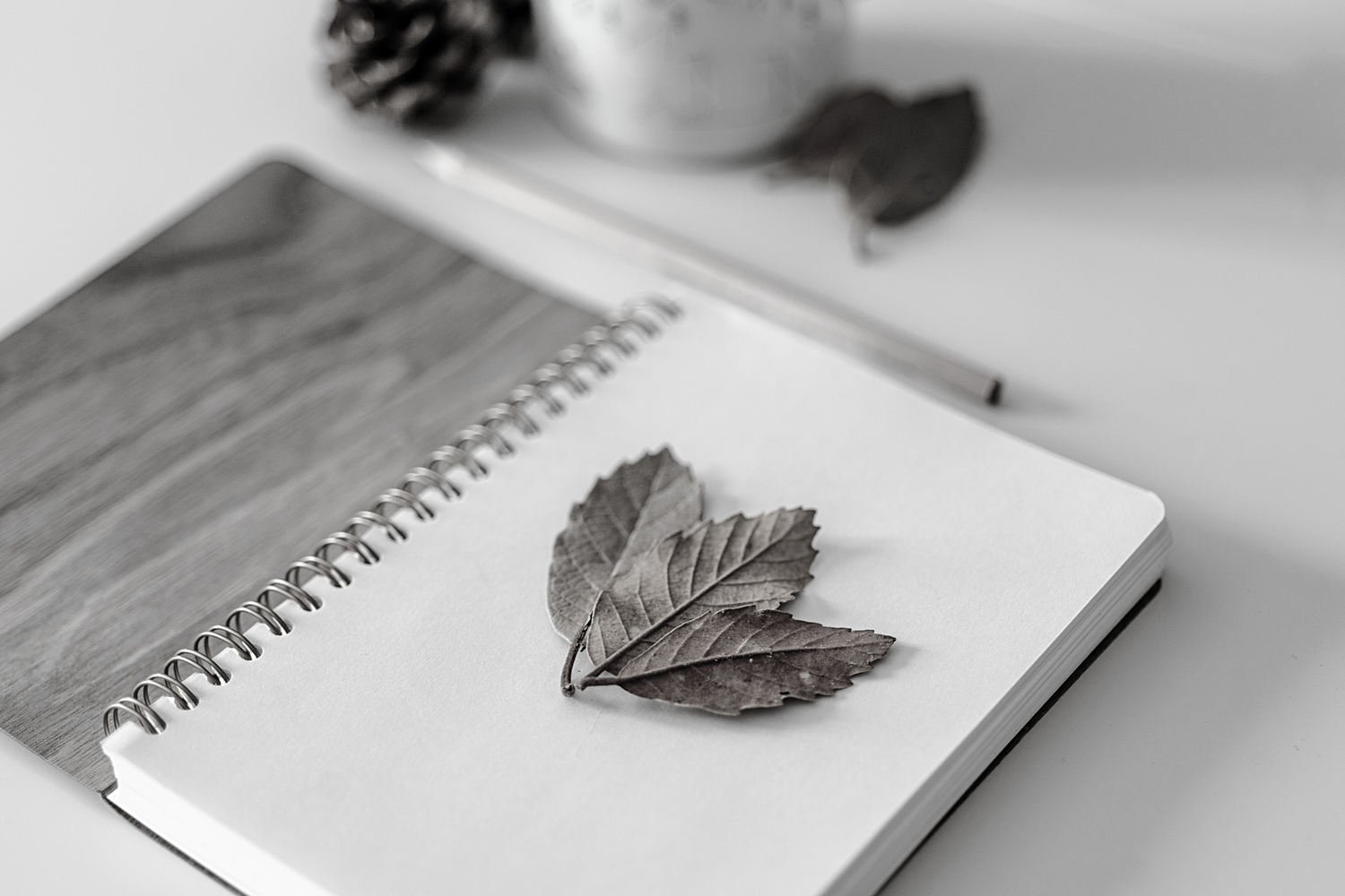 Nature Leaf Notizblock aufgeblättert auf dem Schreibtisch mit drei Blättern aus dem Wald dekoriert